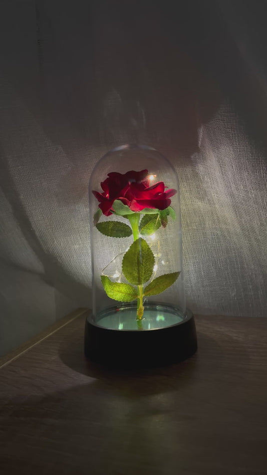 Rose éternelle sous verre - lumière LED